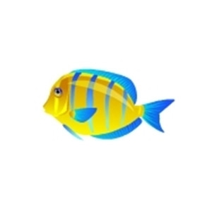 Juvenile Blue Tang